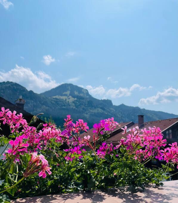 Berge, Wandern, Erholung Pur! Fewo Tinka-Haus Katja Bad Hindelang Esterno foto